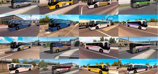 Bus Traffic Pack 2647