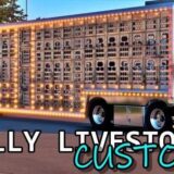 scs belly livestock custom v1 Z99C.jpg