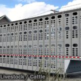 Wilson Silverstar 53 Livestock Cattle v1 3S56.jpg