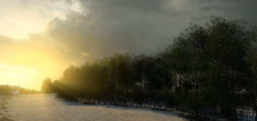 Tree improved 4k v3.1