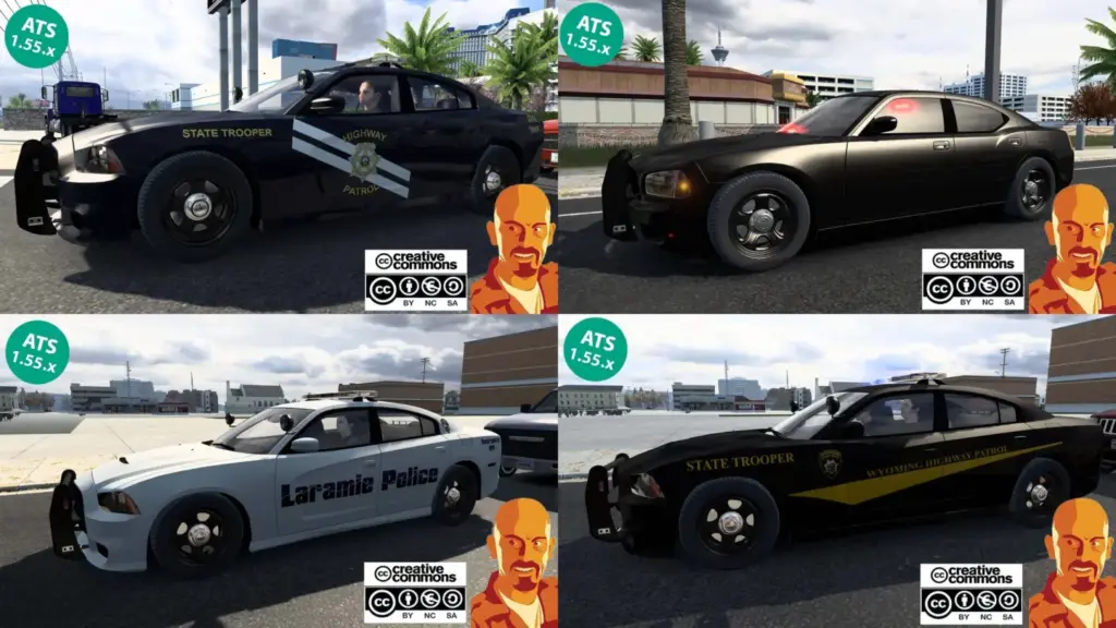 USA POLICE TRAFFIC v2.03