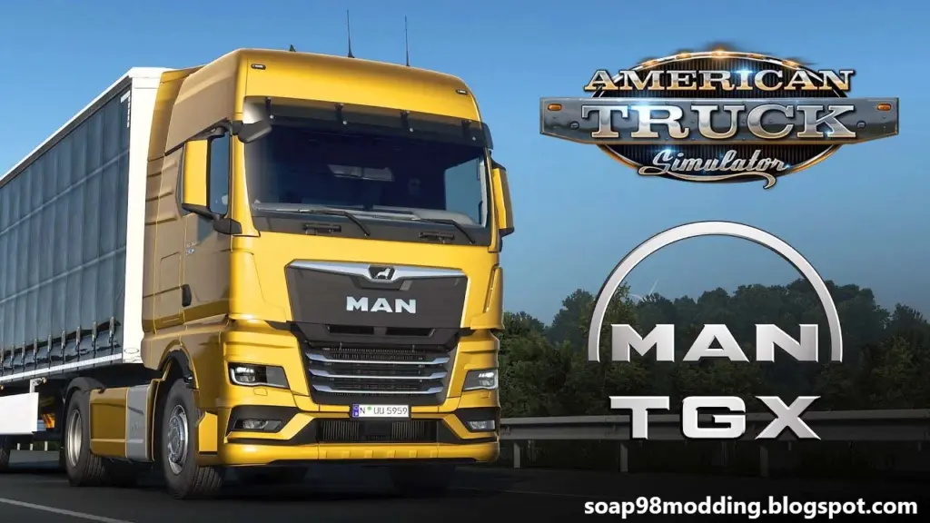 MAN TG3 TGX 2020