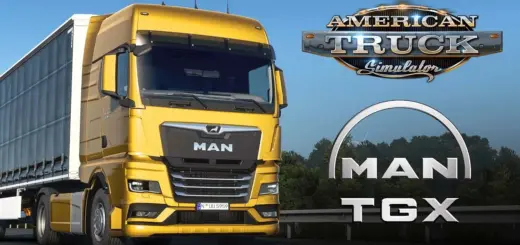 MAN TG3 TGX 2020