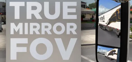 True Mirror FOV