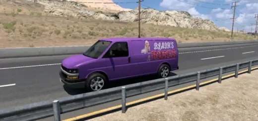 Chevrolet Express Traffic Van