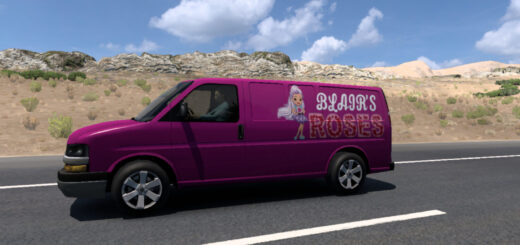 Roses Chevrolet Express Traffic Van