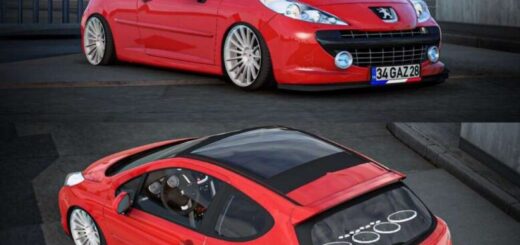 Peugeot 207 RC v2.5 (1.58)