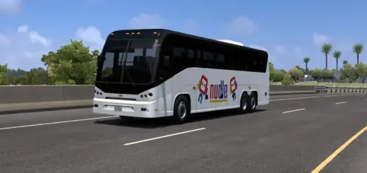 Nudle Coach