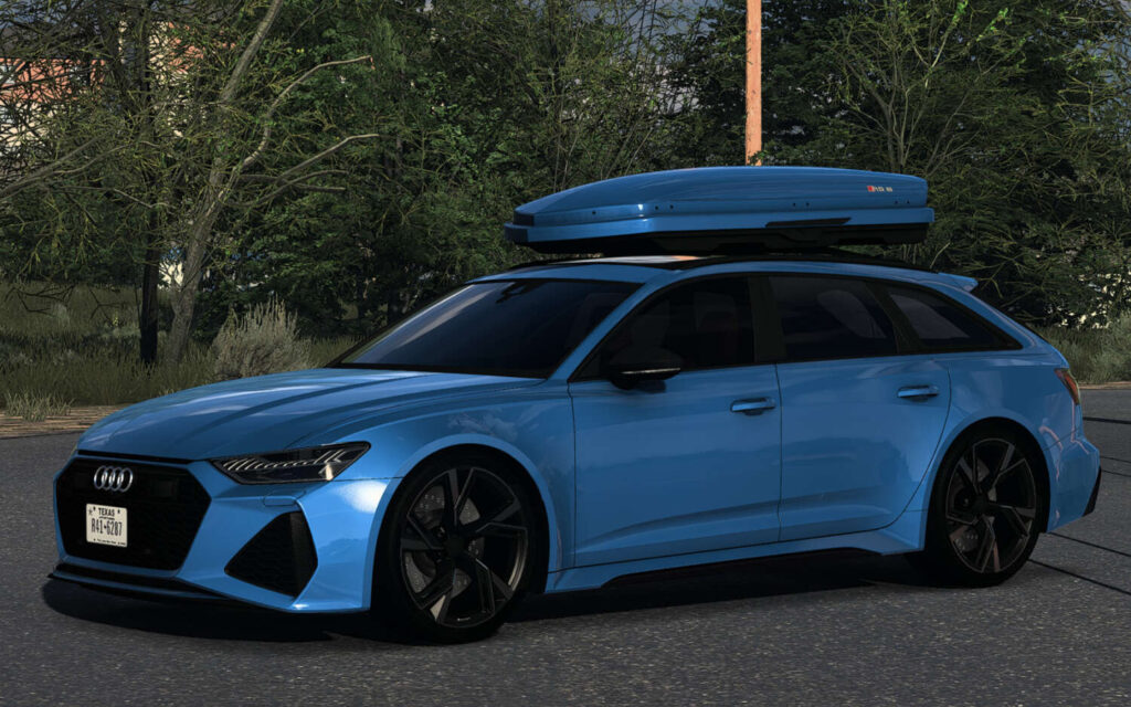 Audi RS6 Avant C8 2020 V2.1 1.593