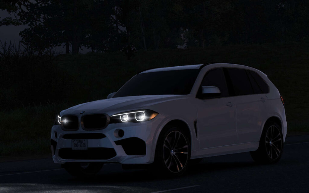 BMW X5M F85 V2.8 1.593