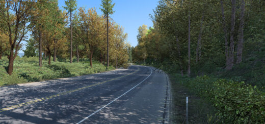 Early Autumn