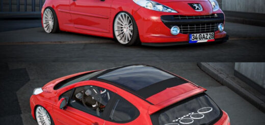 Peugeot 207 RC v2.7